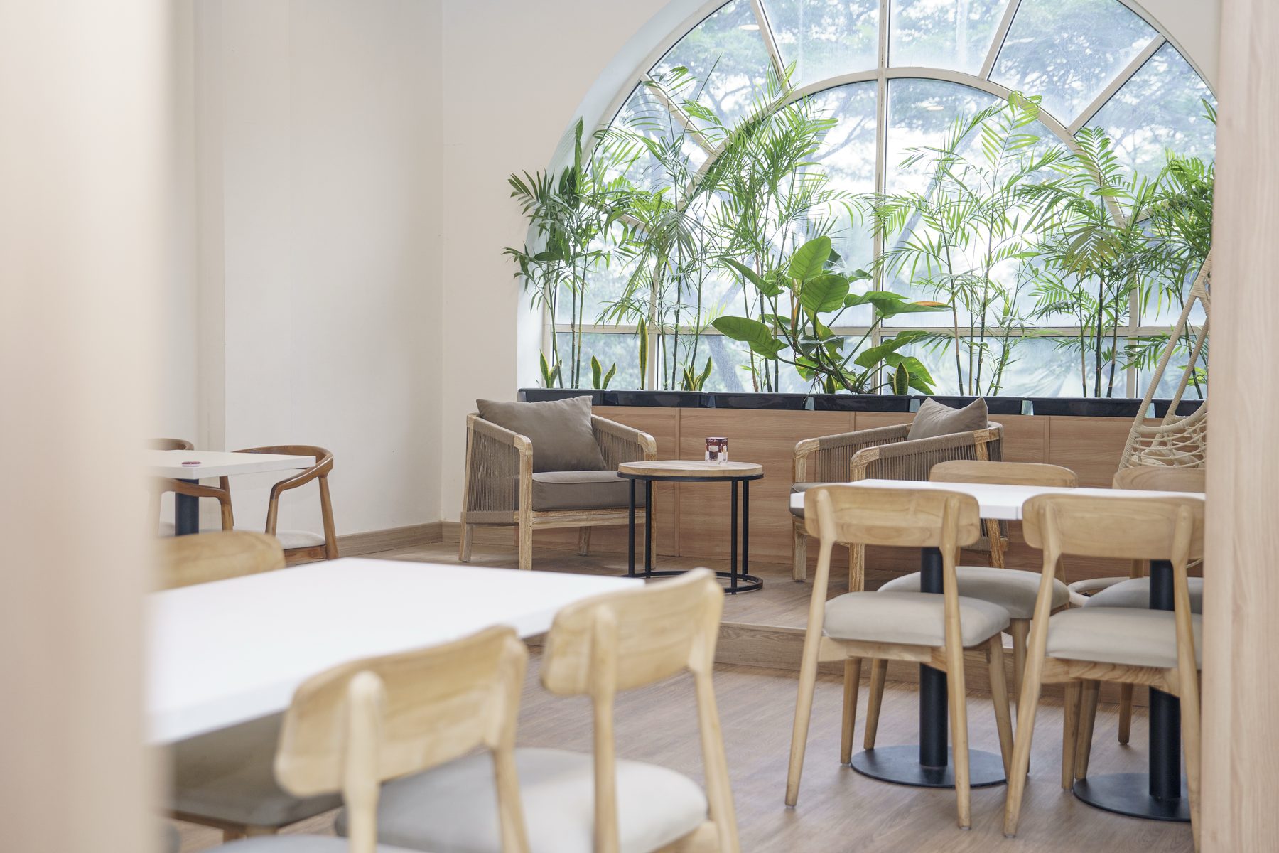 Twig's dining room under the greenhouse roof